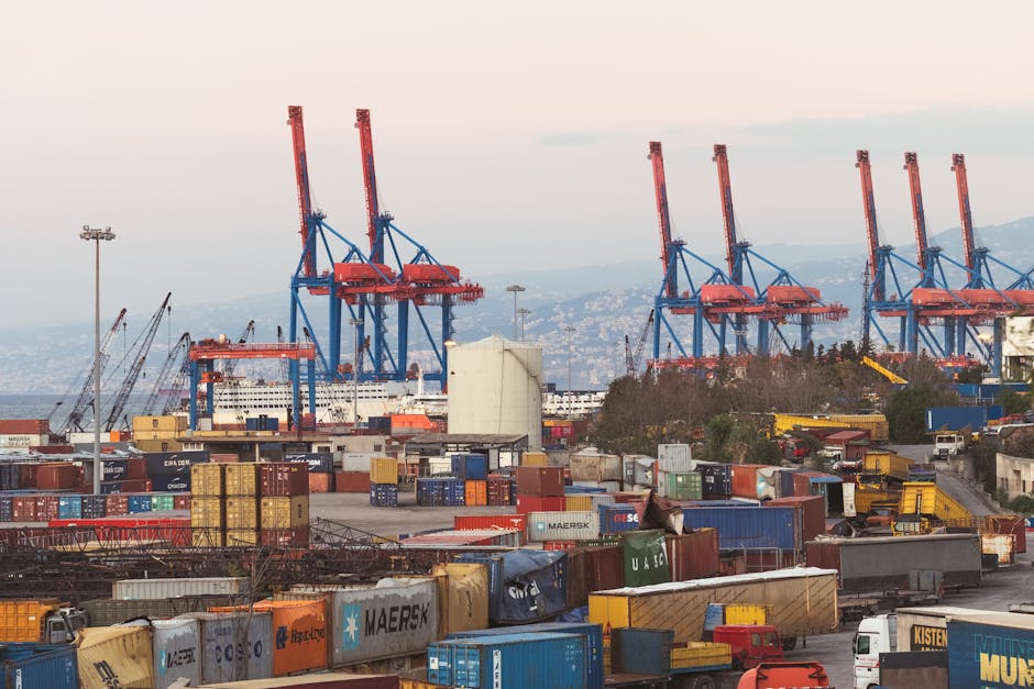 ihracat potansiyeli, yatırım fırsatları