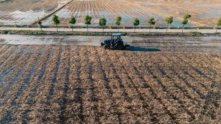 Fransa tarım desteği