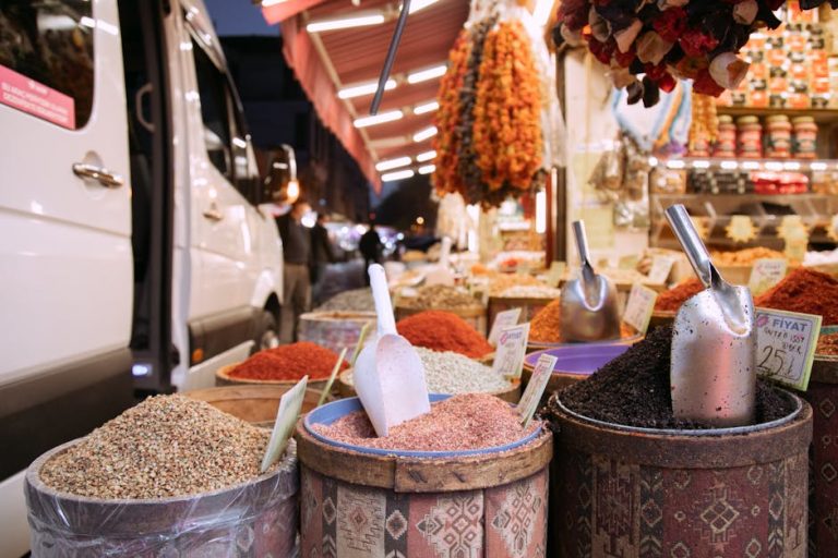 Türkiye ve Suudi Arabistan projeleri